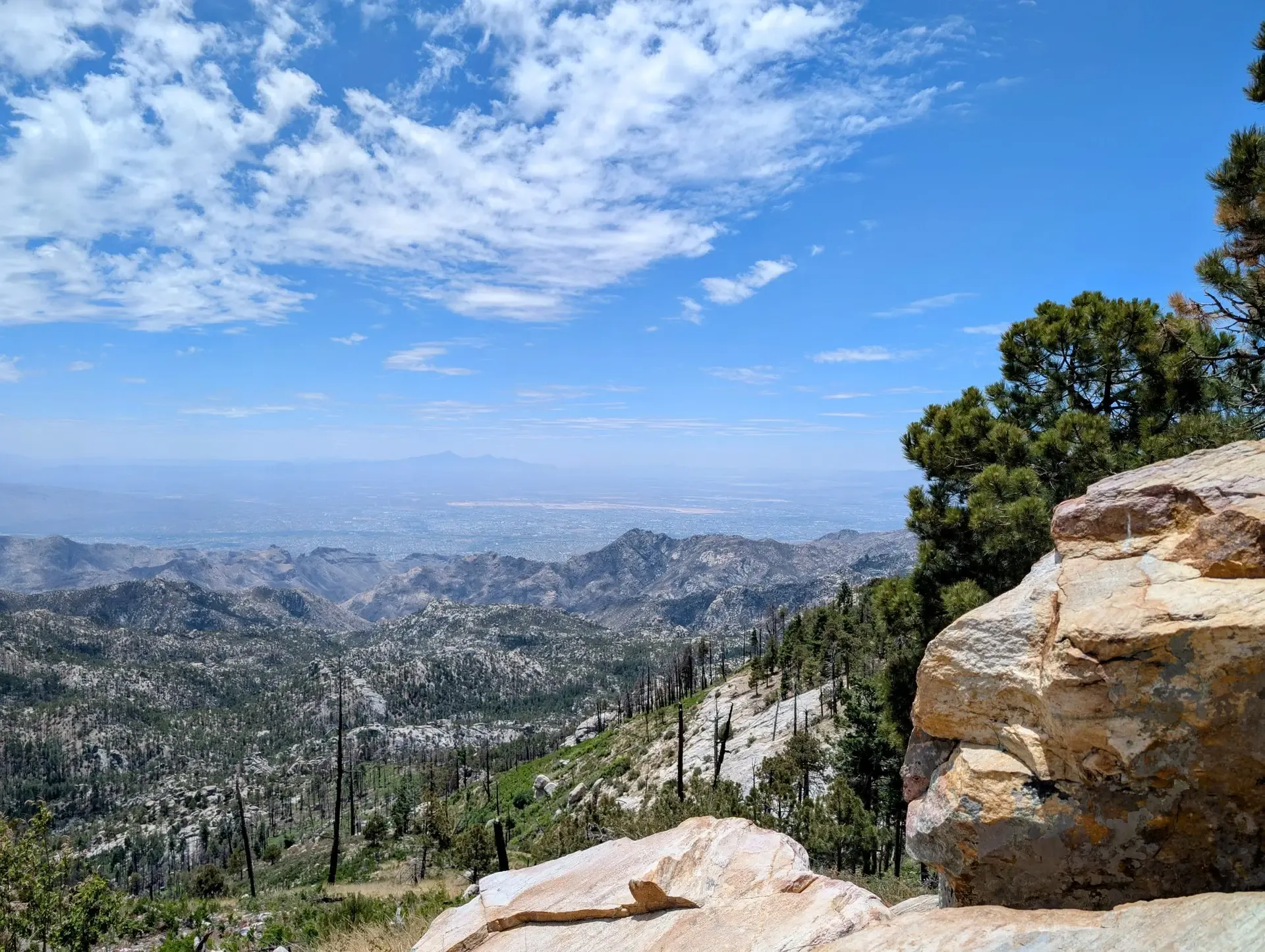A view of the rough and rocky Arizona desert from the top of Mount Lemmon