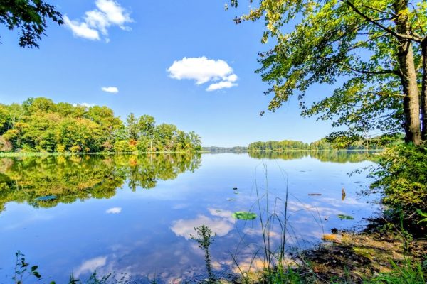Shadowed Mirrored Lake